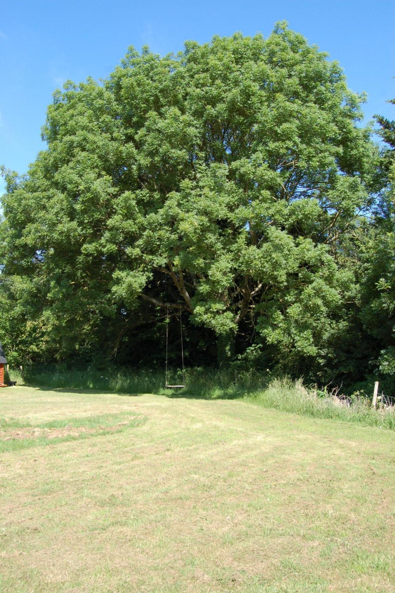 Watermeadow Lakes & Lodge North Perrott