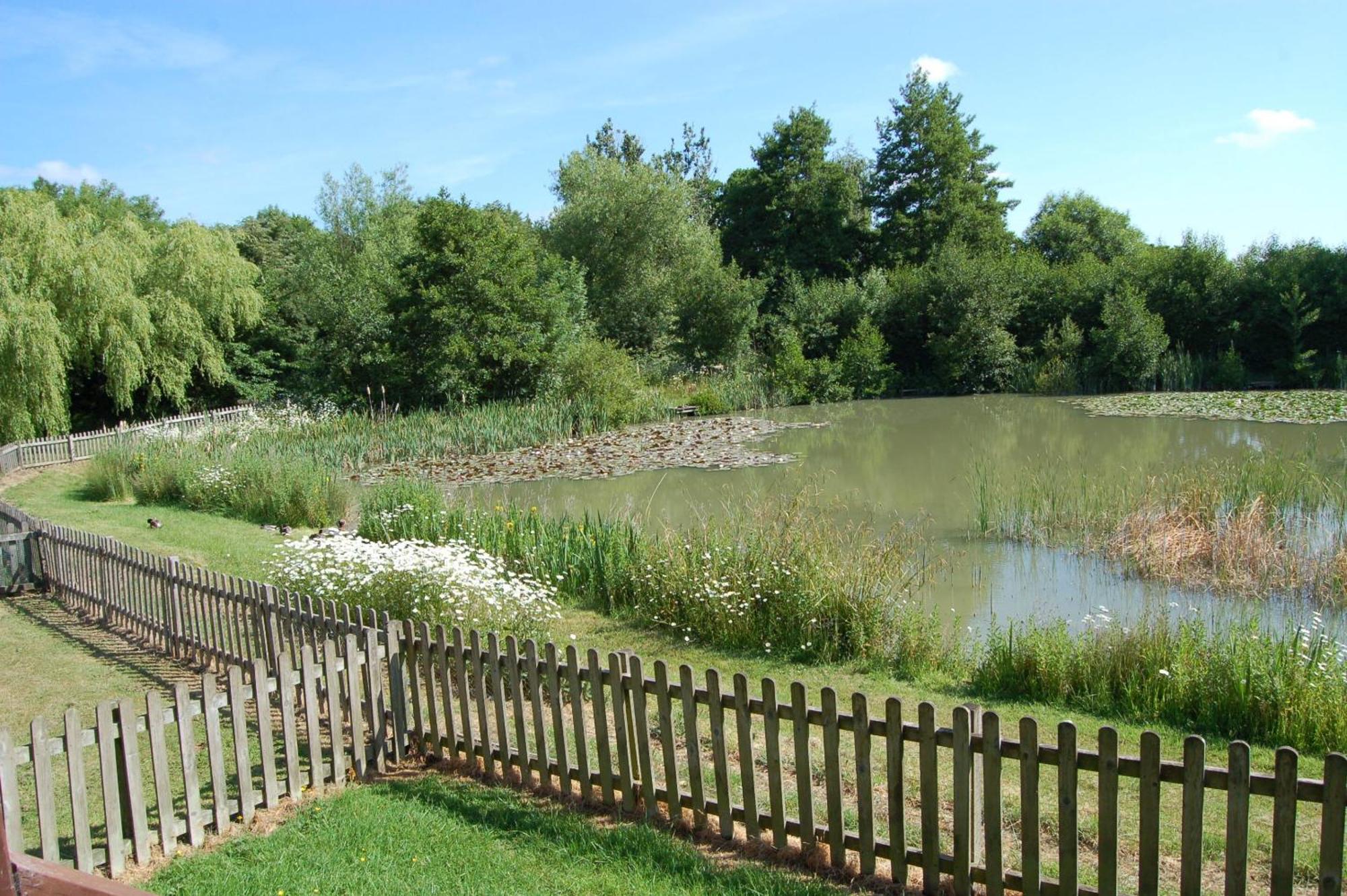 Watermeadow Lakes & Lodge North Perrott